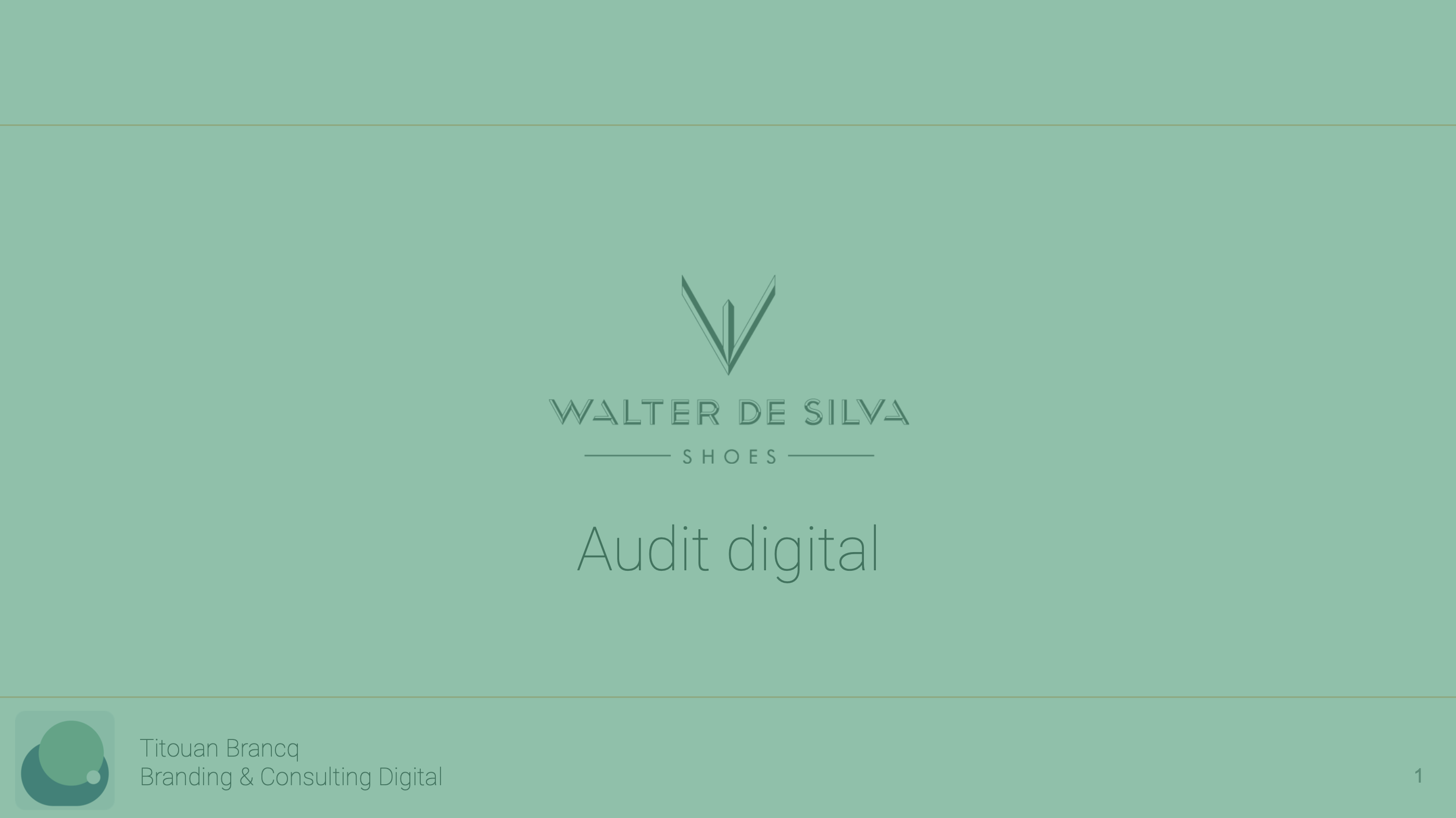 Audit site web wds